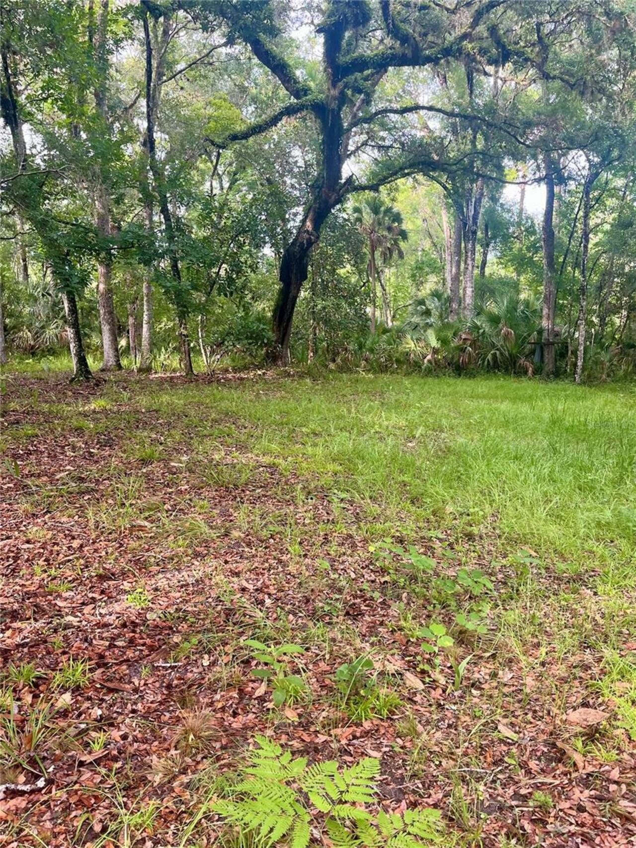 Listing Photo 55