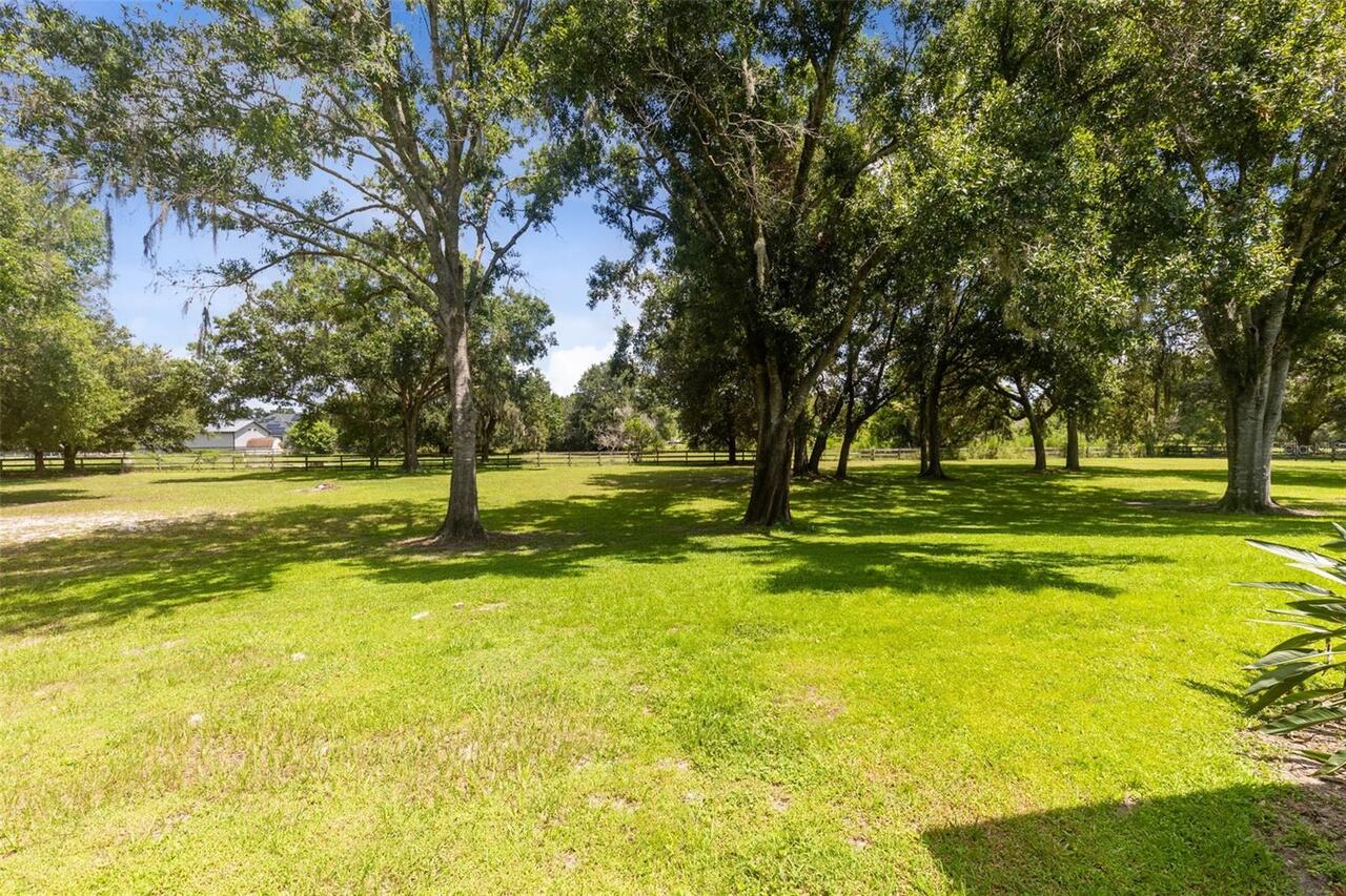 Listing Photo 38