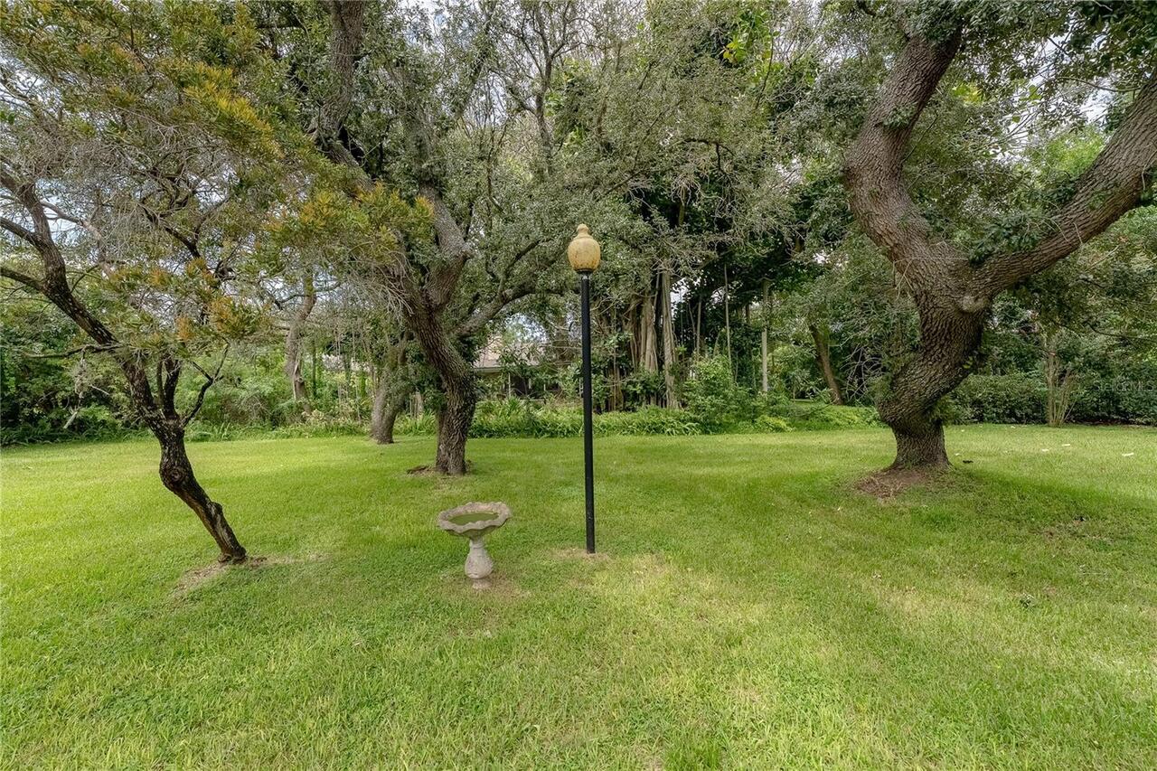 Listing Photo 51
