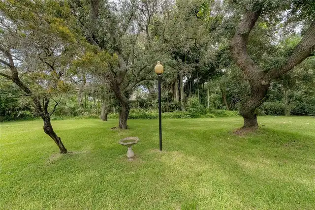 Listing Photo 51