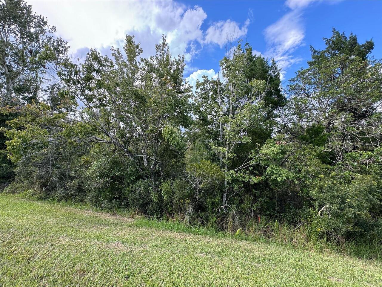 Listing Photo 7