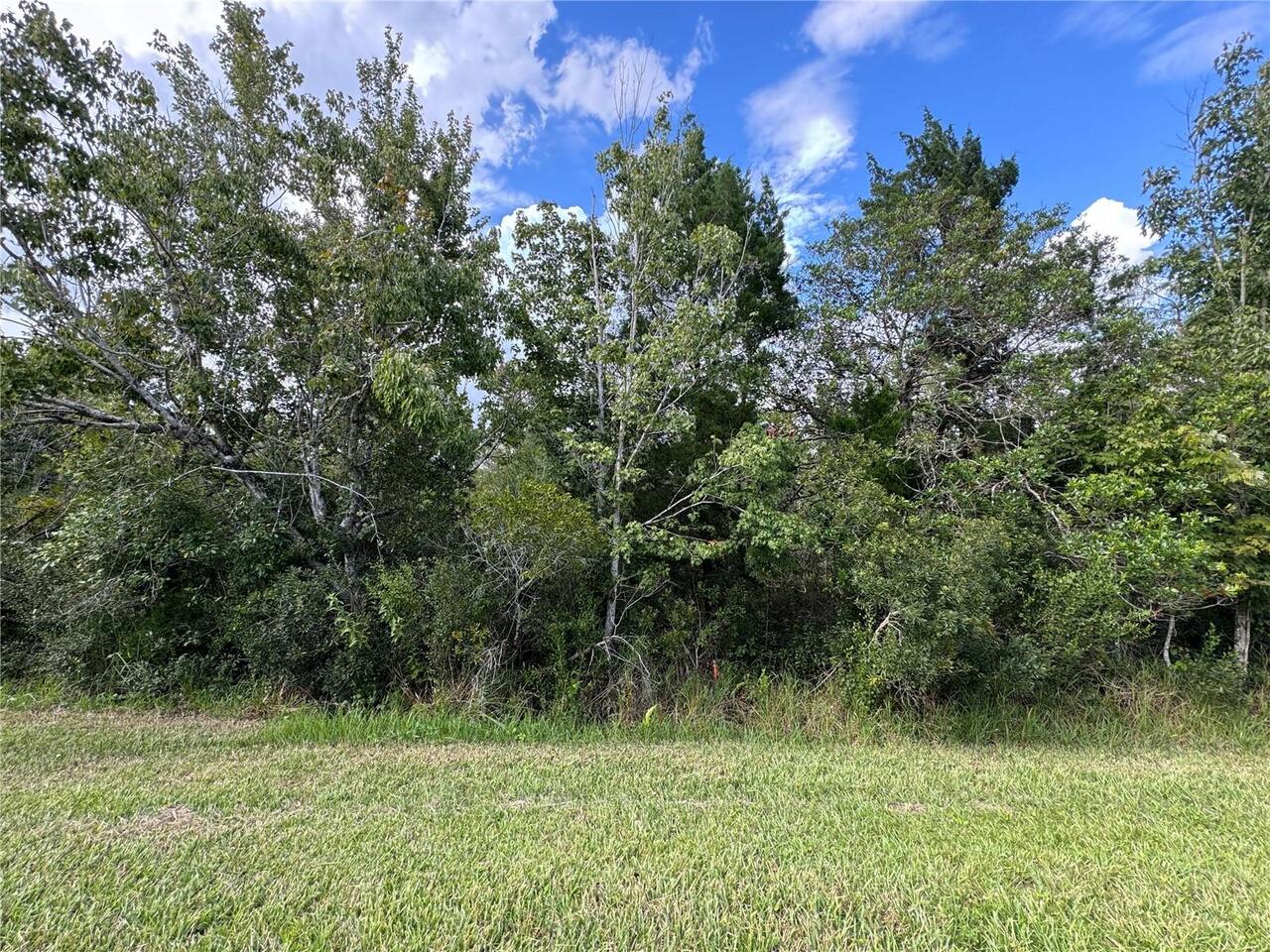 Listing Photo 8