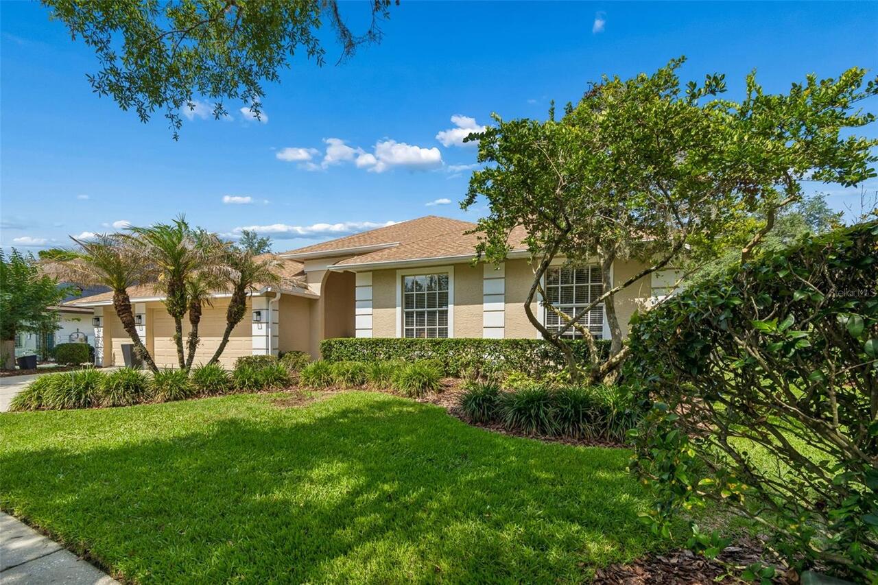 Tampa Real Estate