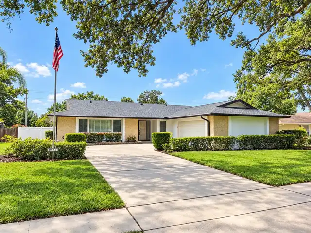 Clearwater Real Estate