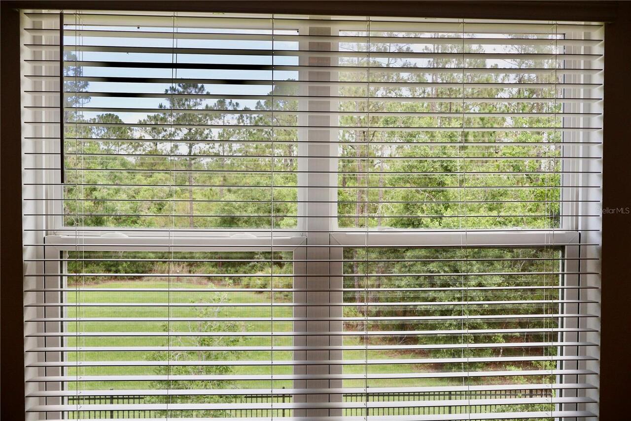 Listing Photo 24
