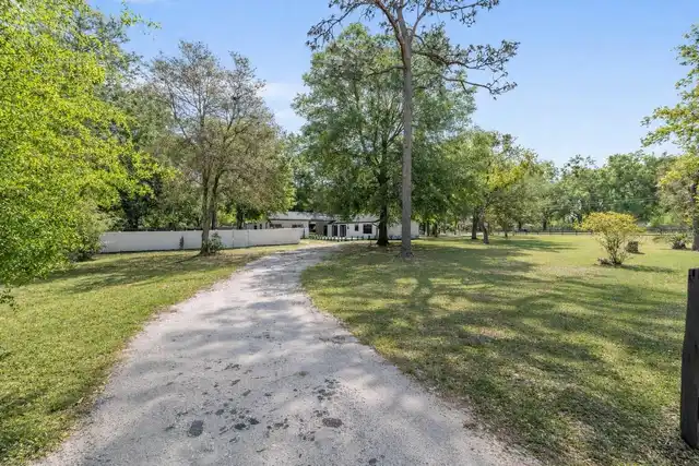 Listing Photo 37