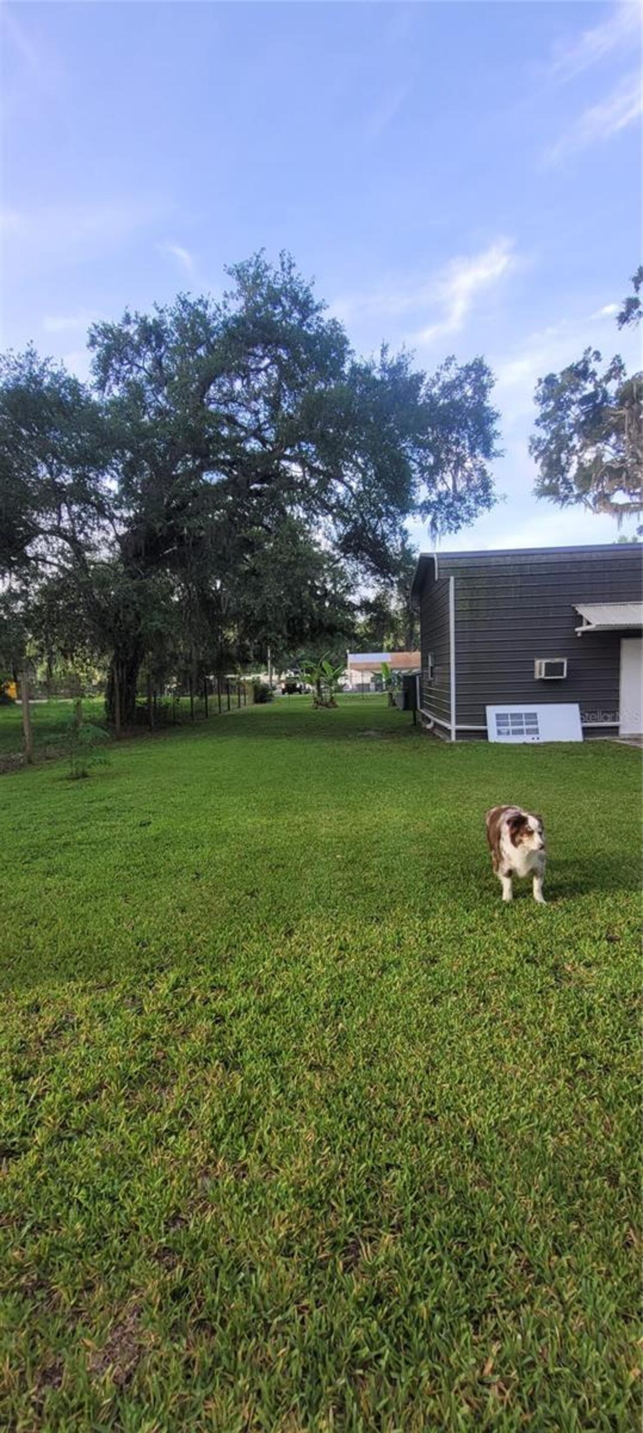 Listing Photo 18