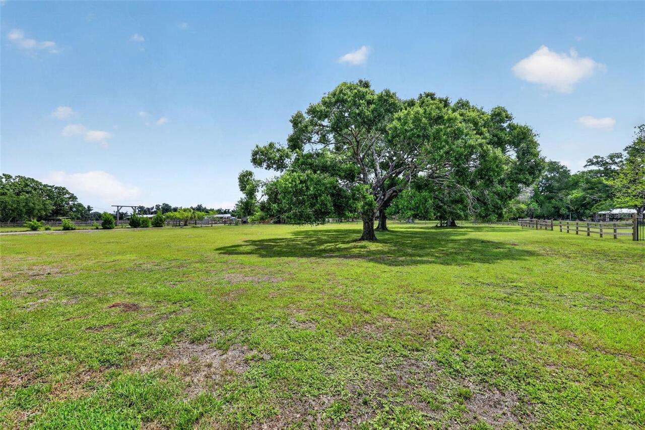 Listing Photo 42