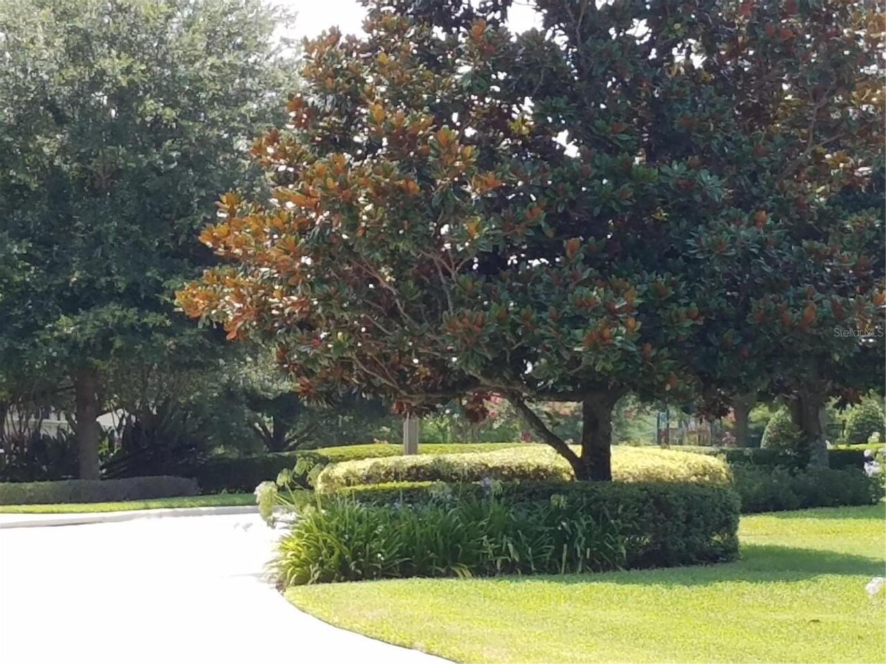Listing Photo 34