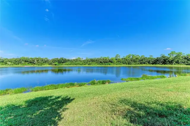 Listing Photo 76