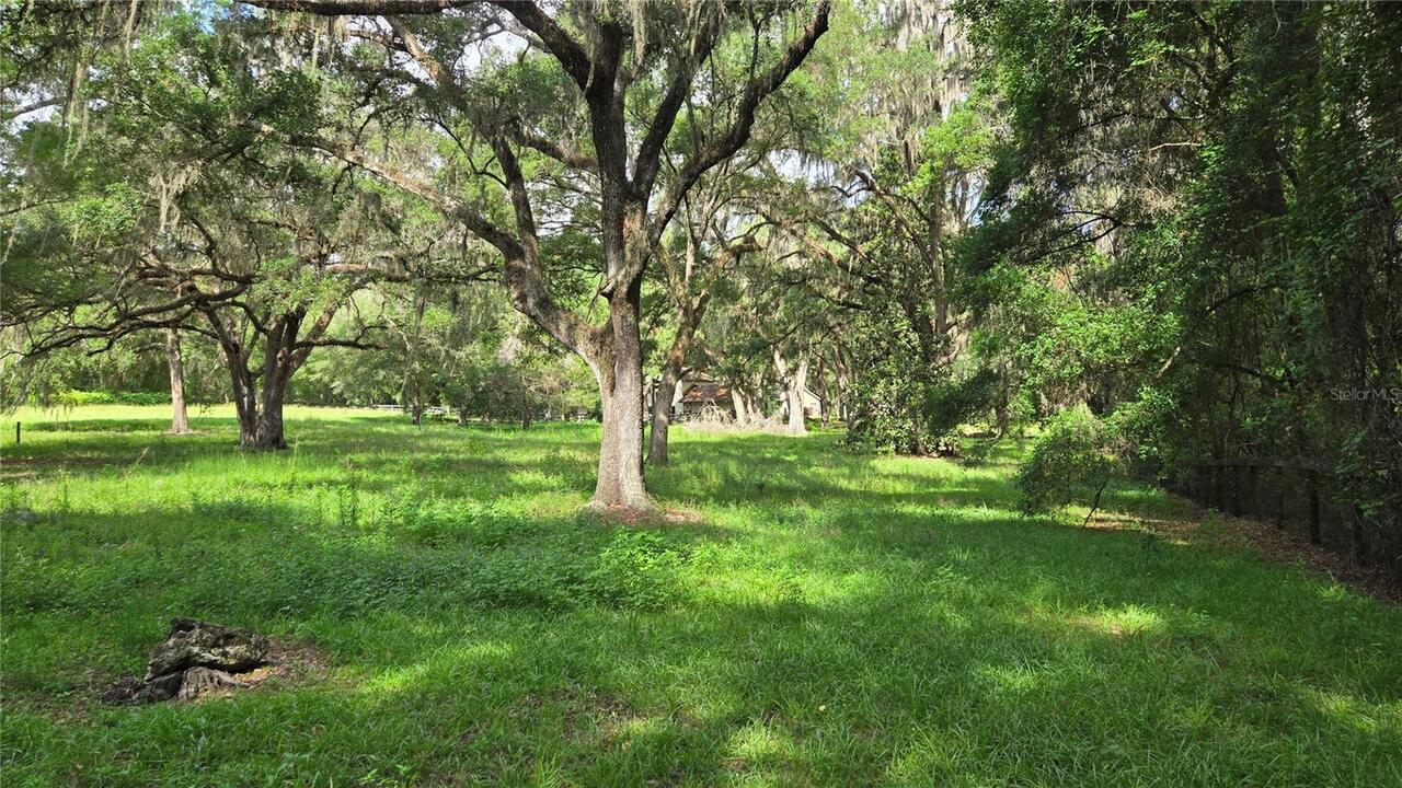 Listing Photo 9