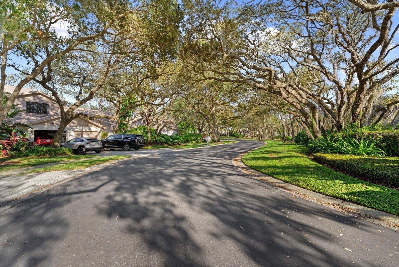Listing Photo 28