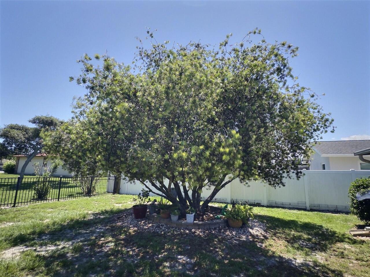 Listing Photo 8