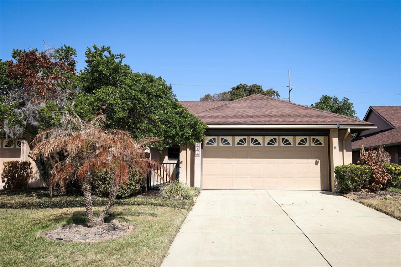 Mount Dora Real Estate