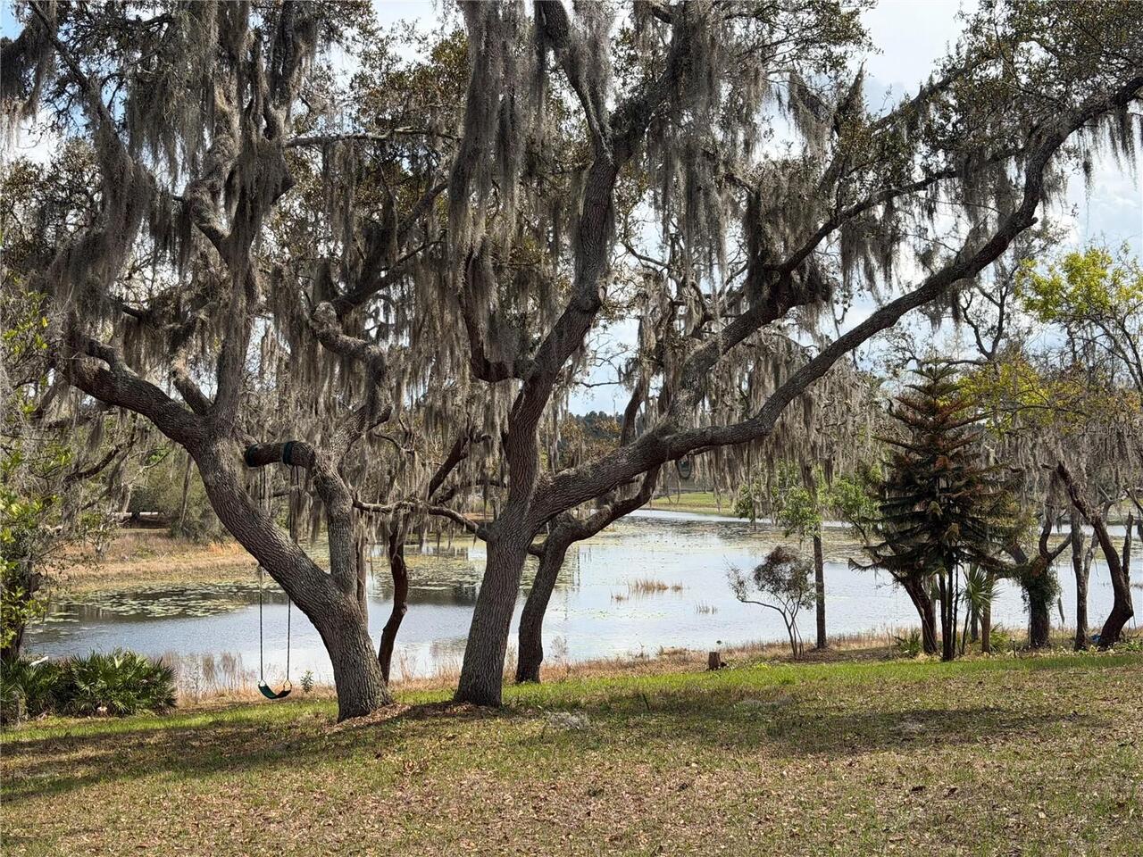 Winter Garden Real Estate