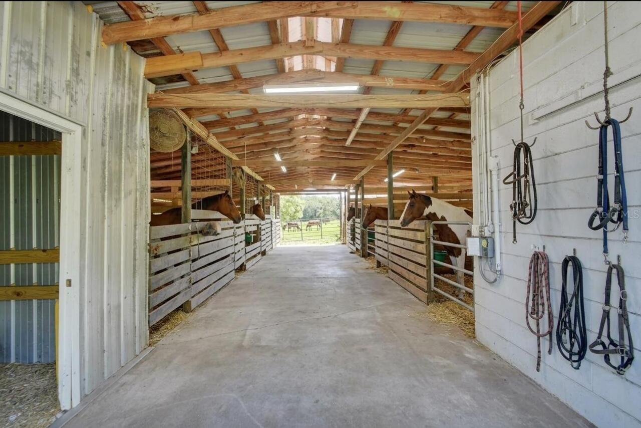 Listing Photo 31
