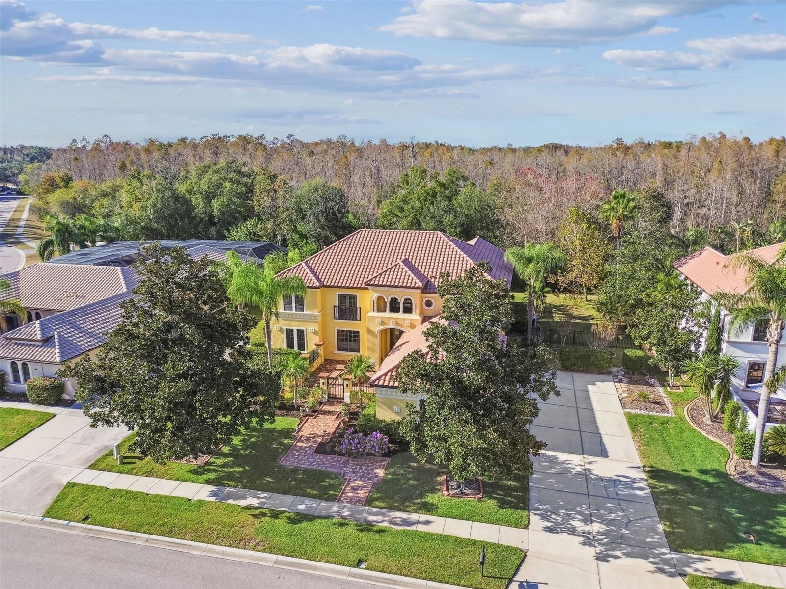 Land O Lakes Real Estate