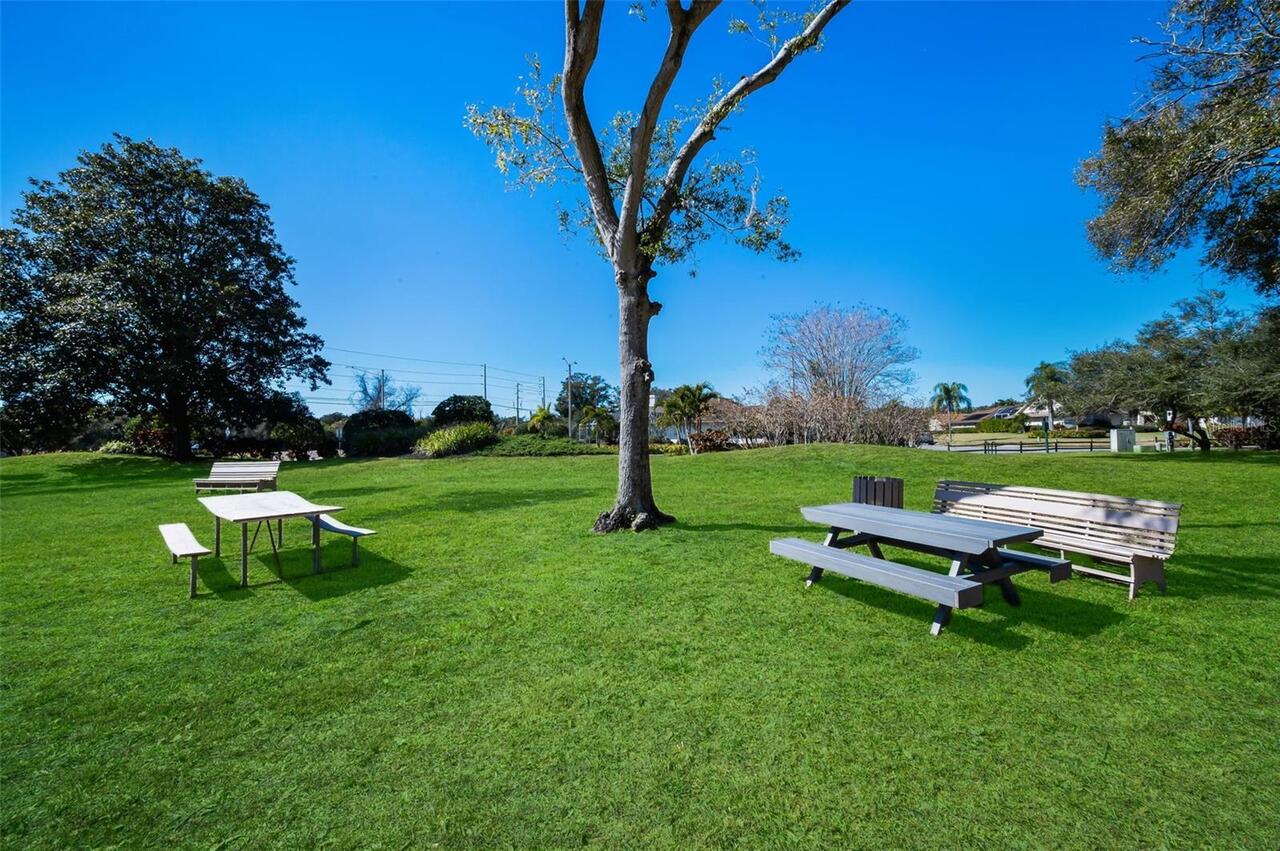 Listing Photo 44