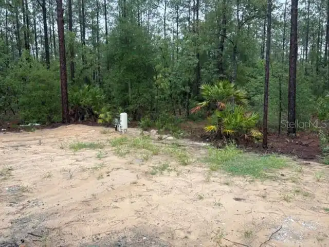 Listing Photo 10