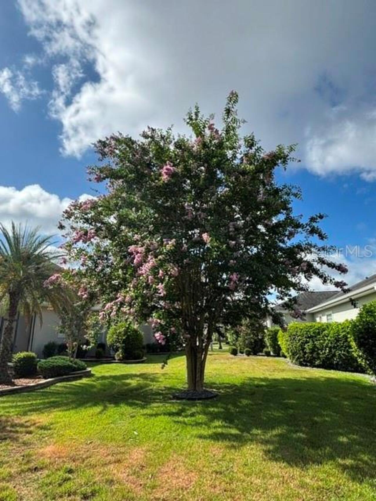 Listing Photo 45