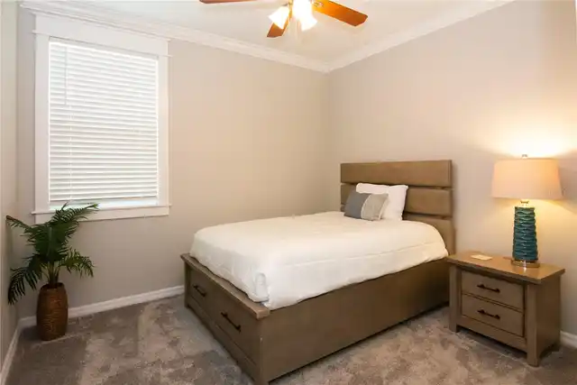 Listing Photo 17