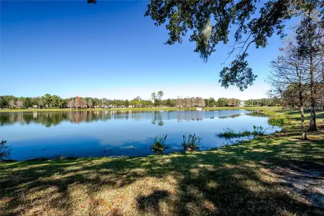 Listing Photo 48