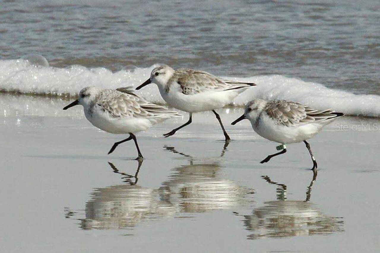 Listing Photo 52