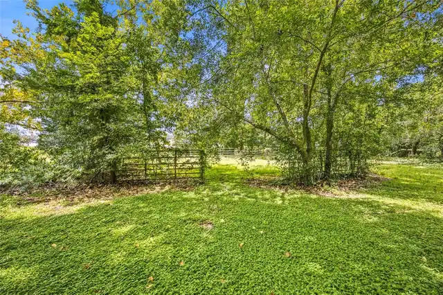 Listing Photo 35
