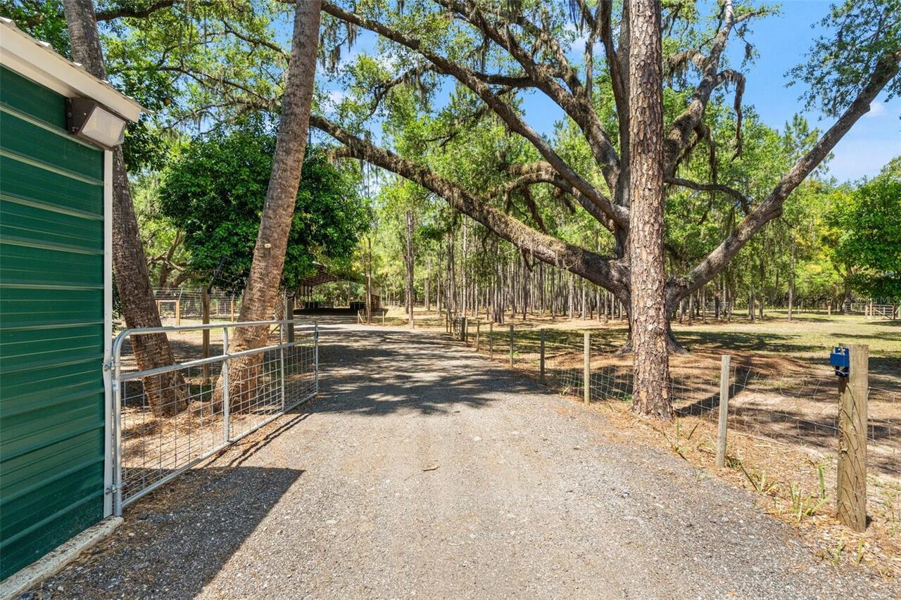 Listing Photo 74