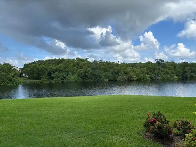 Listing Photo 42