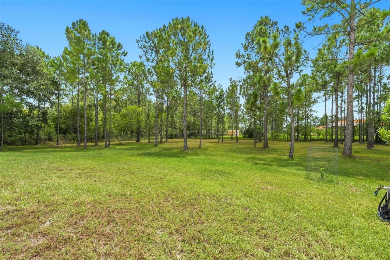 Listing Photo 75