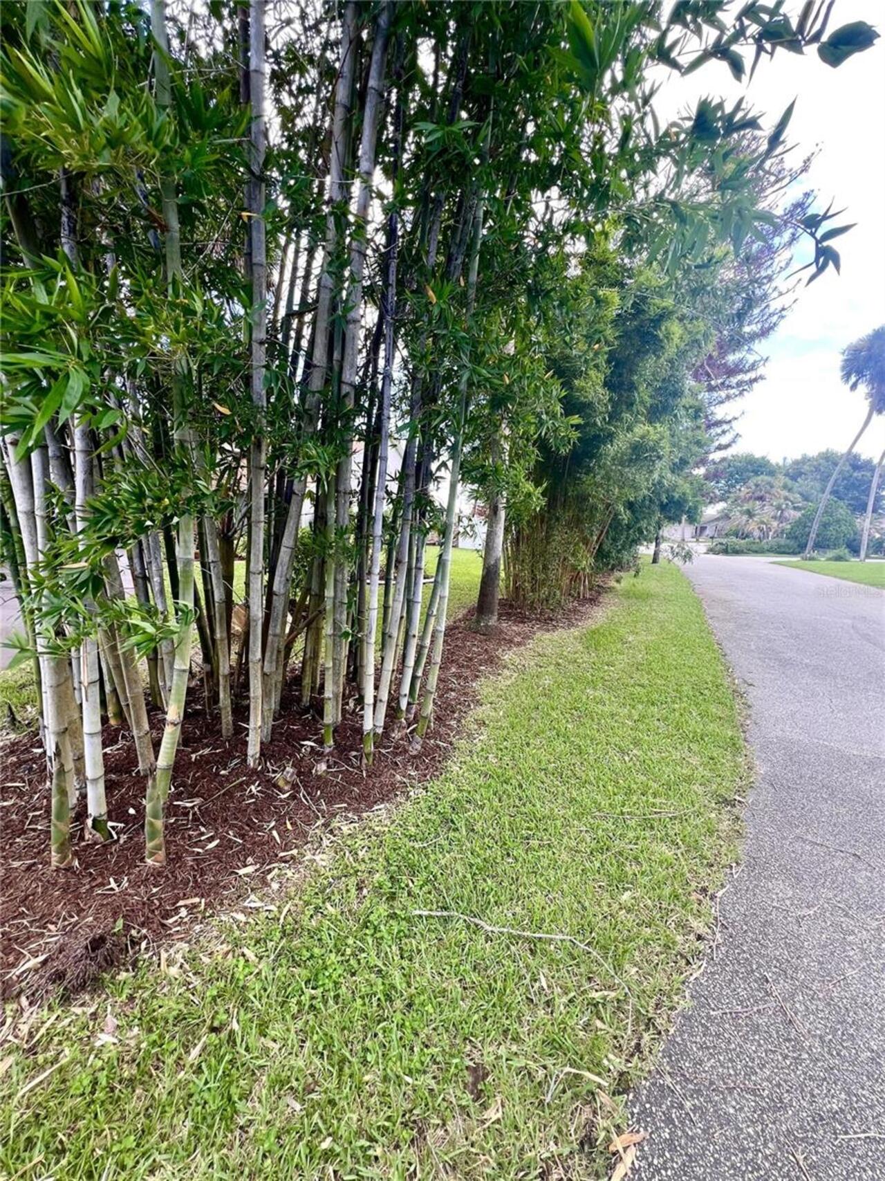 Listing Photo 57
