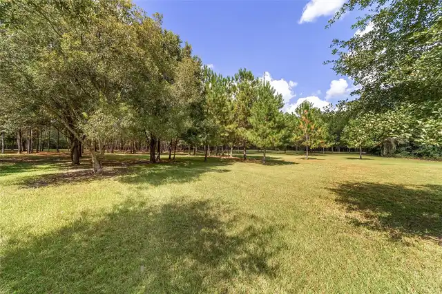 Listing Photo 91