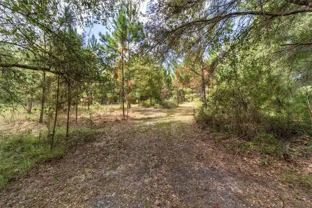 Listing Photo 93