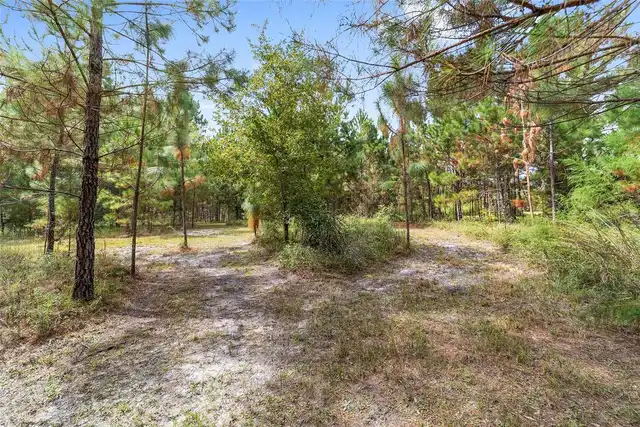 Listing Photo 94