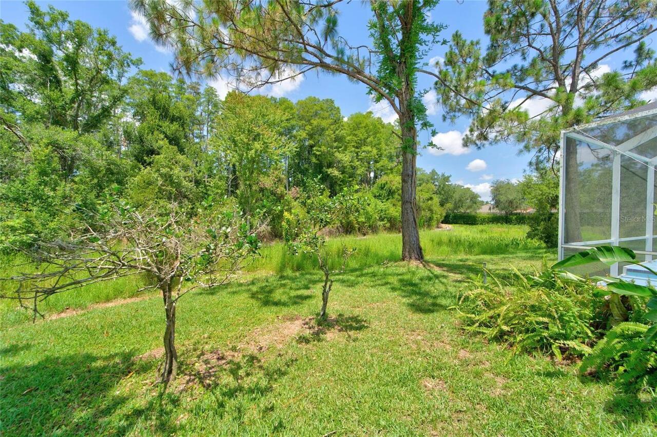 Listing Photo 38