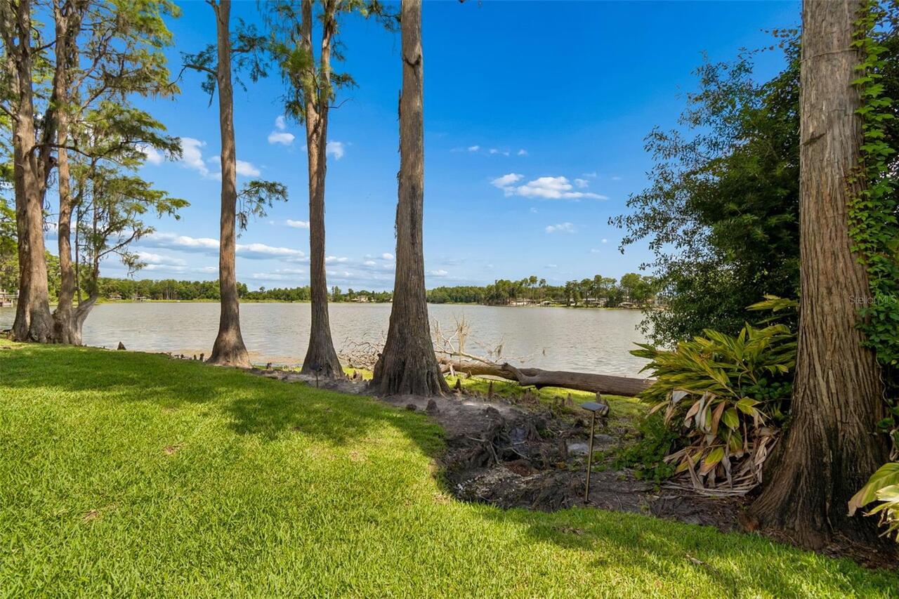 Listing Photo 67