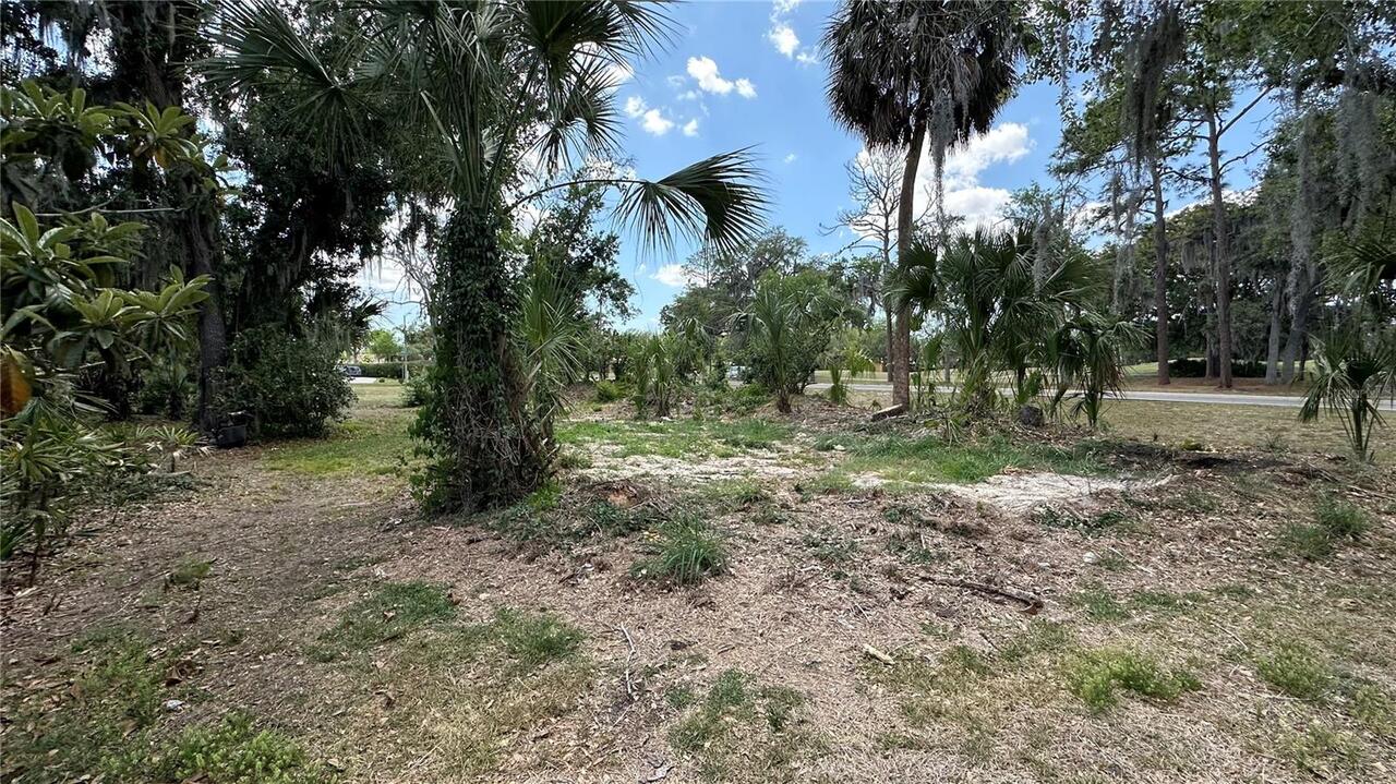 Listing Photo 33