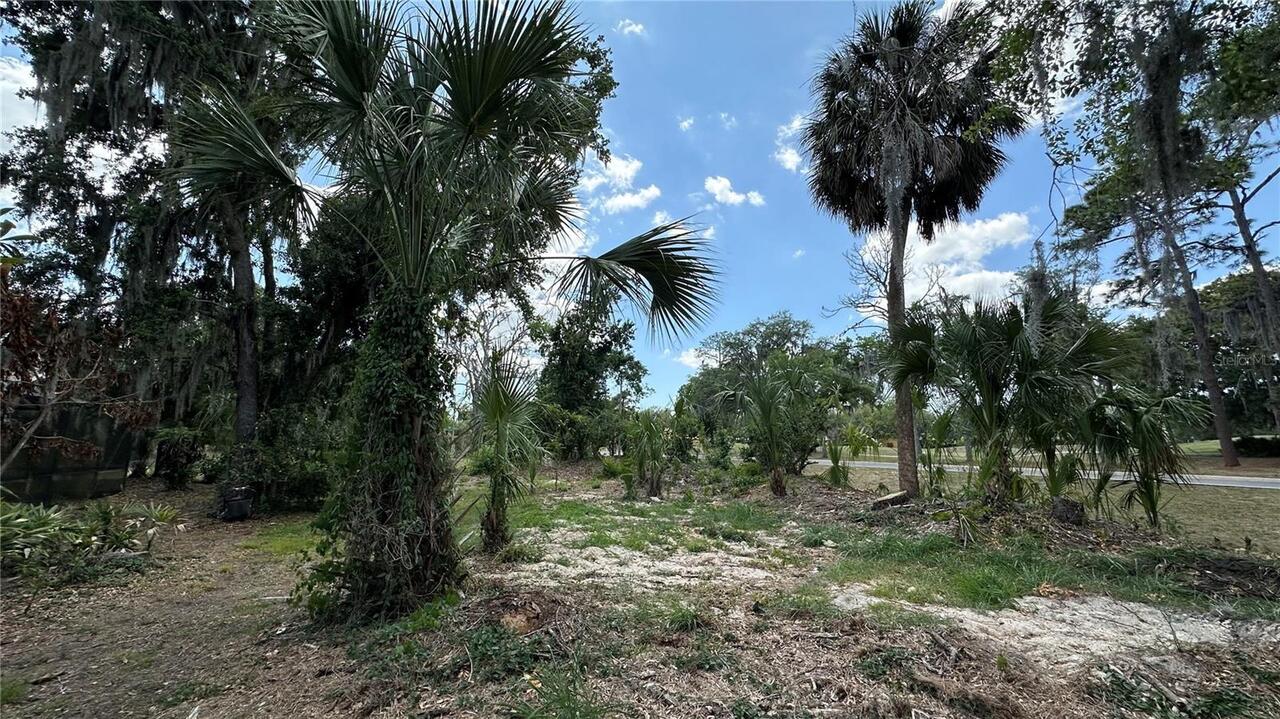 Listing Photo 34