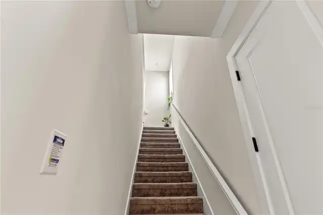 Listing Photo 41