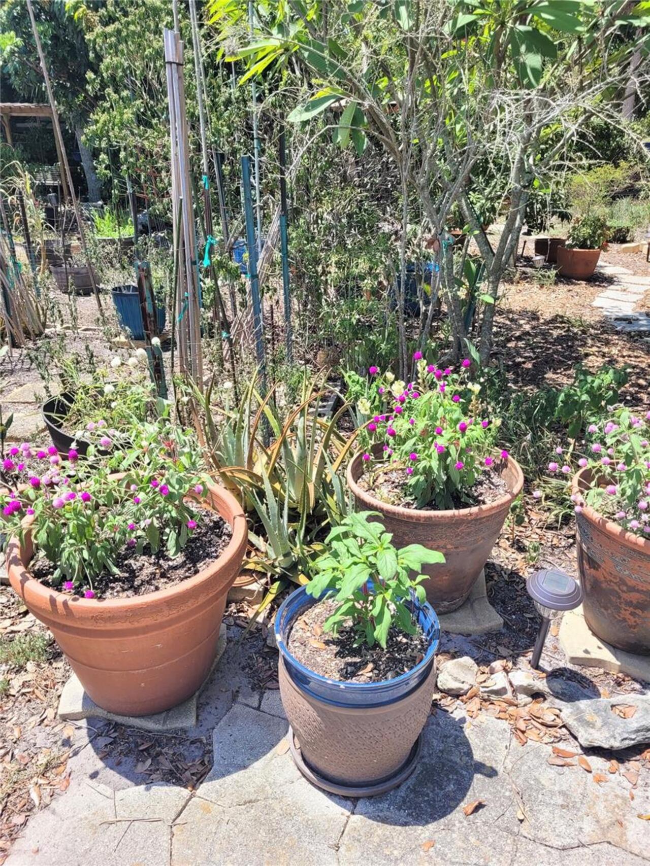 Listing Photo 35
