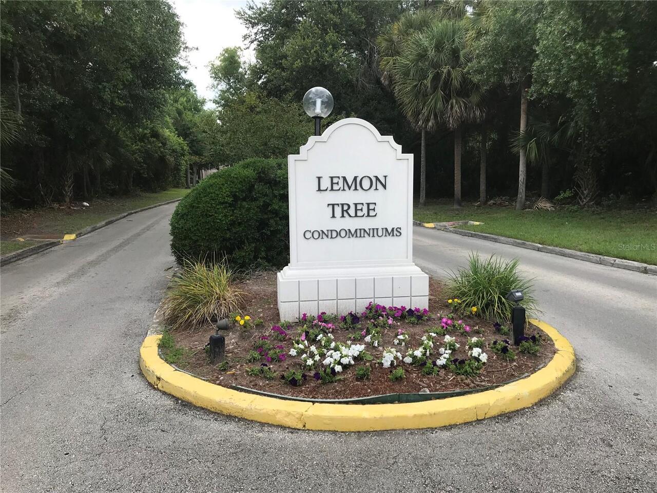 Orlando Real Estate
