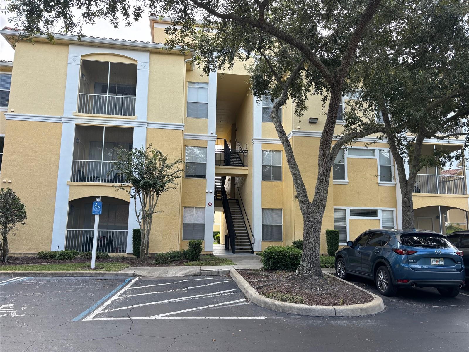 Maitland Real Estate