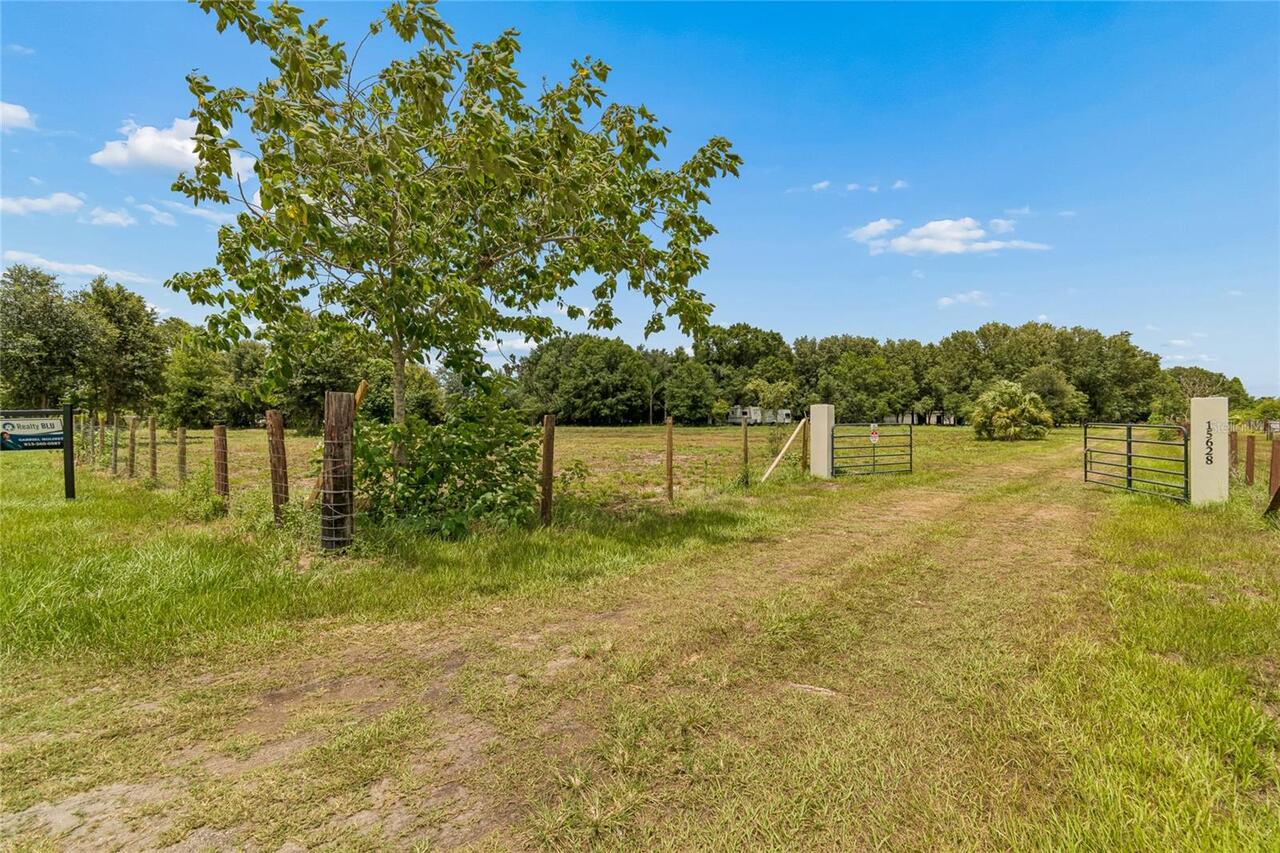 Listing Photo 6