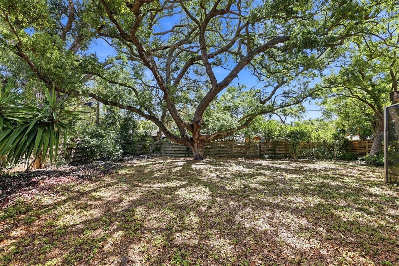 Listing Photo 25