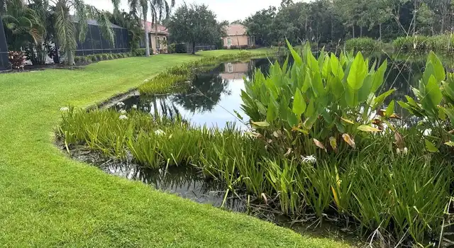 Listing Photo 47