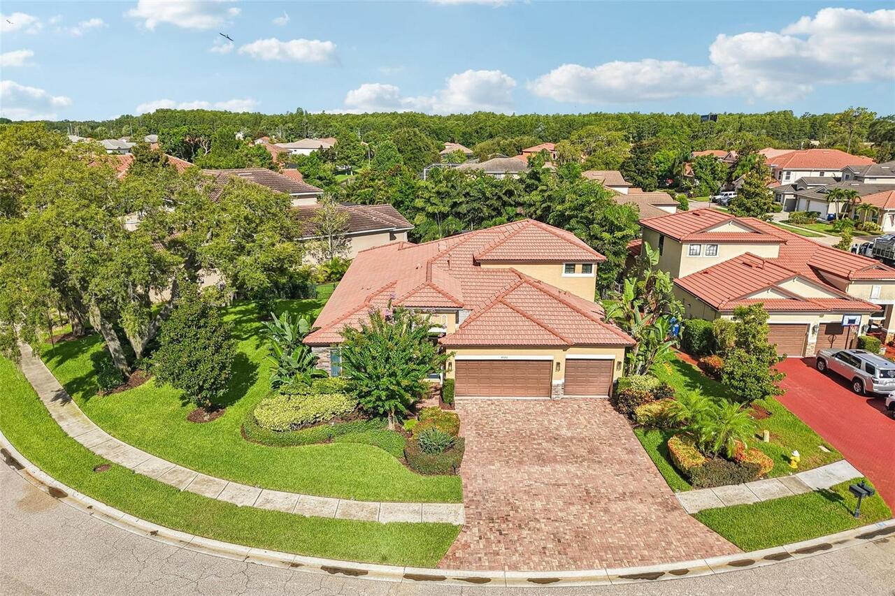 Palm Harbor Real Estate