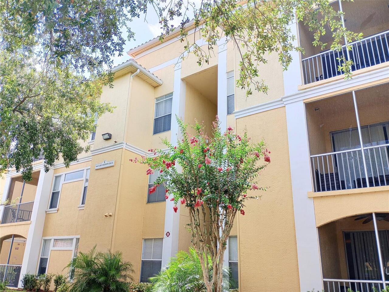 Maitland Real Estate