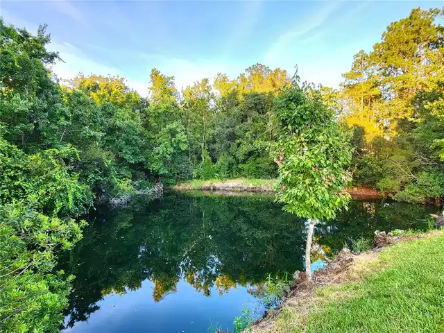 Listing Photo 55
