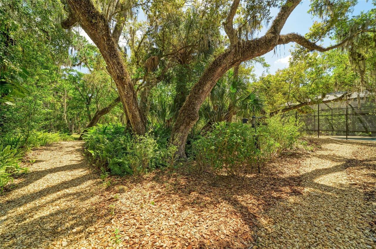 Listing Photo 67